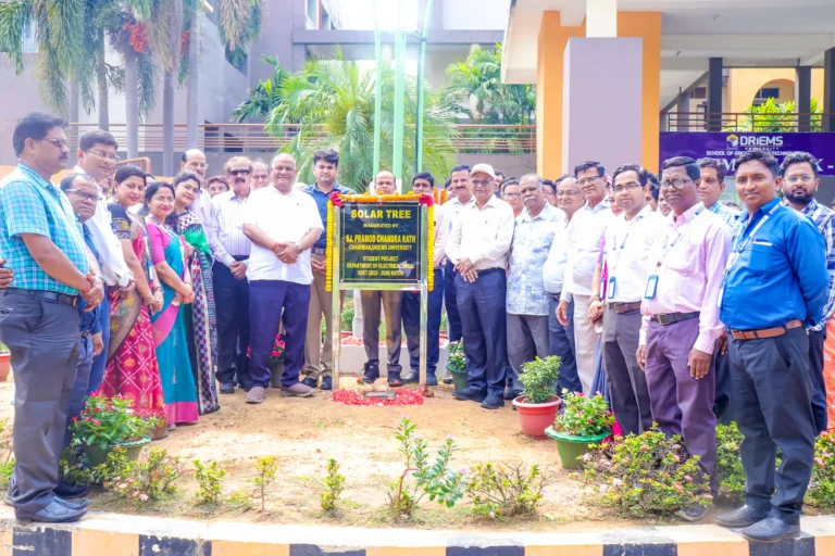 DRIEMS University Inaugurates Solar Tree Lighting System Project
