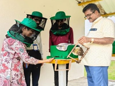 13c2ae83-ebbd-4b1f-85c5-307f23a21084