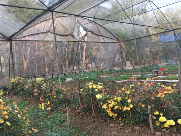 21732aee-a2cc-4121-9415-a7e6bcbff860