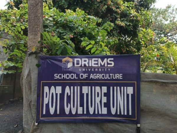 49bf6d6b-bdb6-4acd-9231-b7144cbd3d18