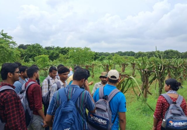 4e743a6f-cc57-41c5-9e43-e5b27d878a82