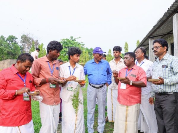 52d689eb-67f0-4b87-80cd-e5fd5c293c64