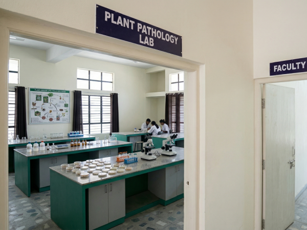 5a8880f1-4b6d-4119-b4bb-a5532c1a4ffd