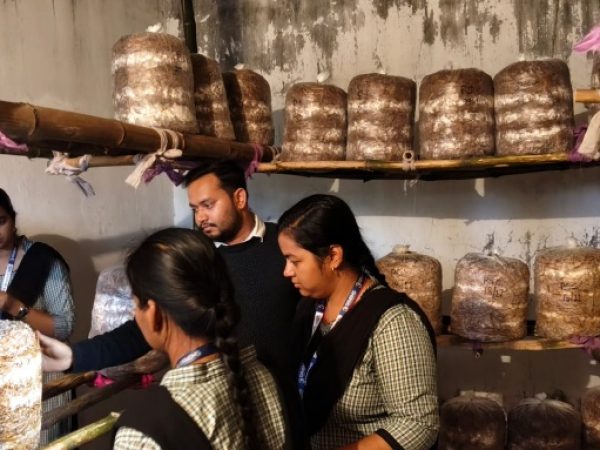 66e5de48-4109-4409-8c0d-60d5919e662a