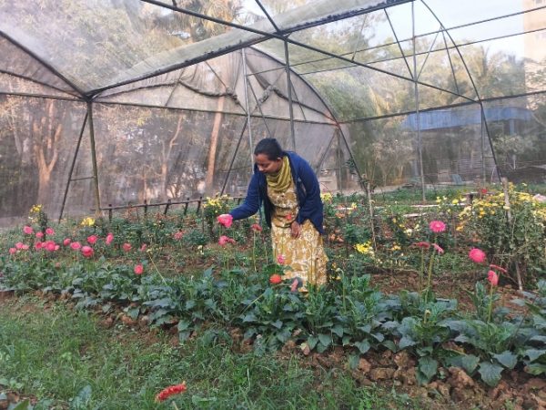 96ee196a-cdd9-4657-8458-1fe09d2560ae