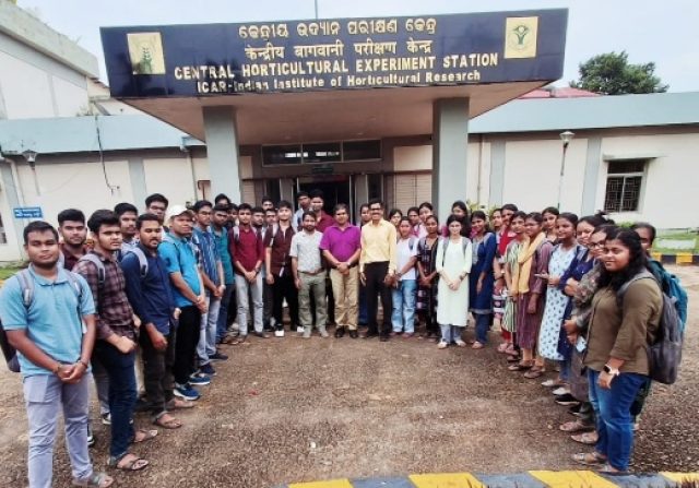 9a9c0ce7-ed30-4a63-8d6b-c6a8fd280b05