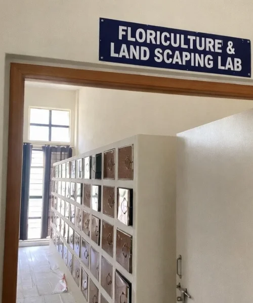 Image Flori
