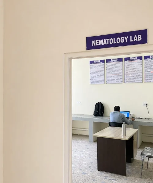 Image Nemato