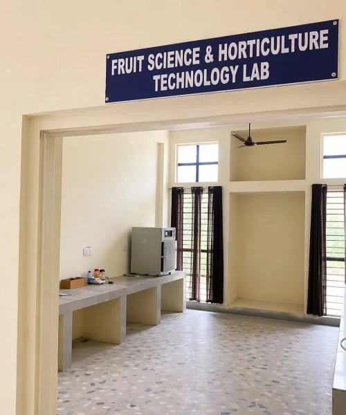 Image Fruit Sc