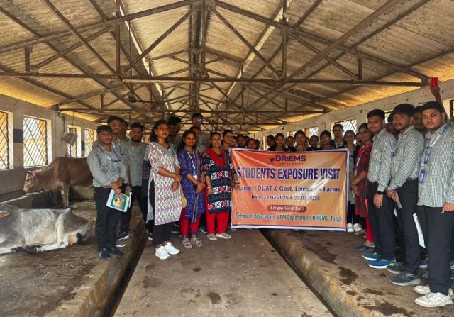 b28b2924-6e28-452f-8422-6da548a354e4