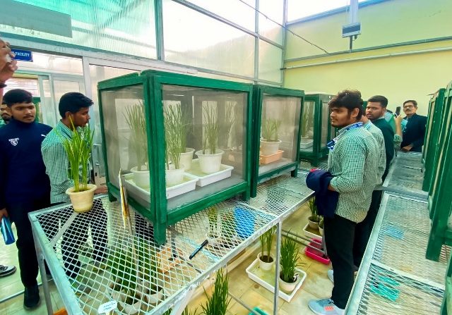 d641197f-274c-4b31-ace8-69ab66a279e1