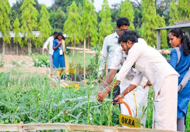 e42051d6-eb1a-4bfa-9416-6c87492d51b1